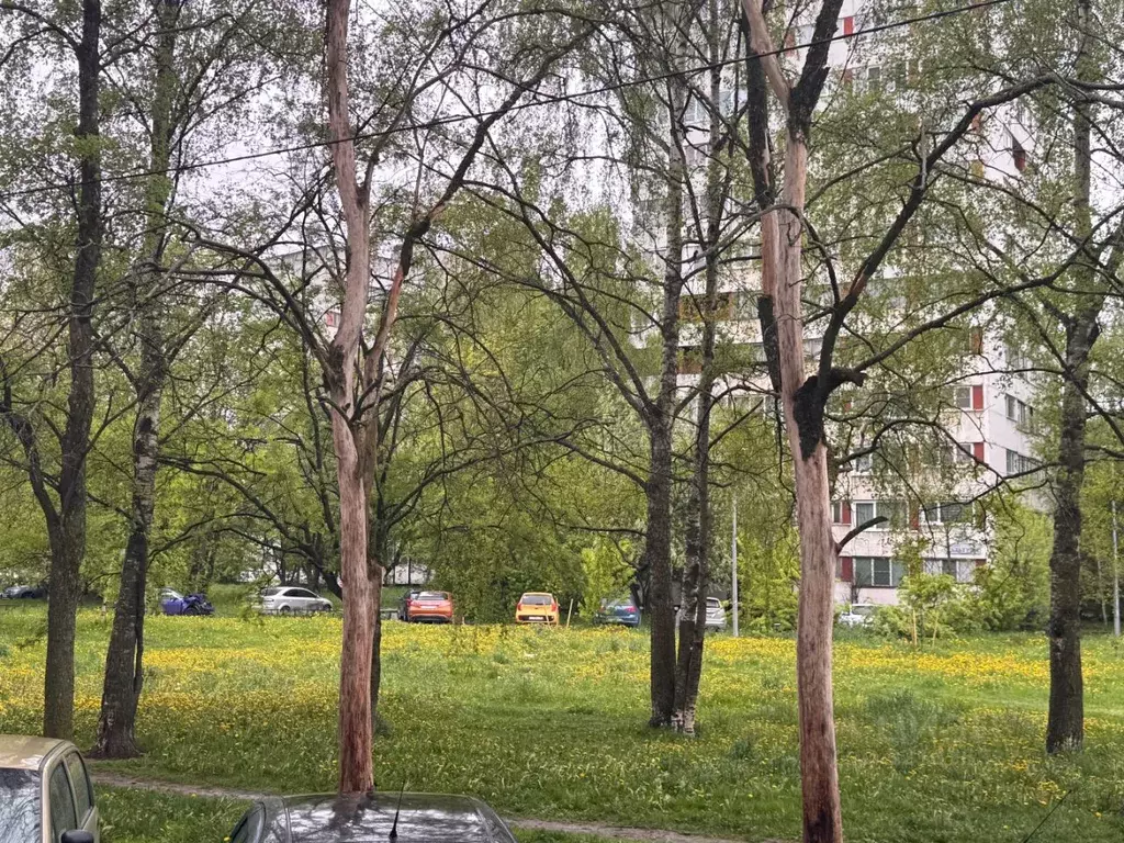 3-к кв. Санкт-Петербург просп. Культуры, 26К1 (69.3 м) - Фото 2