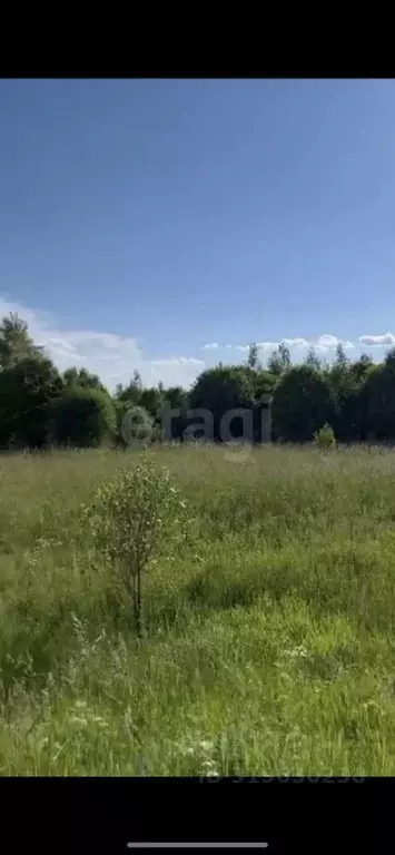 Участок в Ярославская область, Тутаевский муниципальный округ, ... - Фото 1