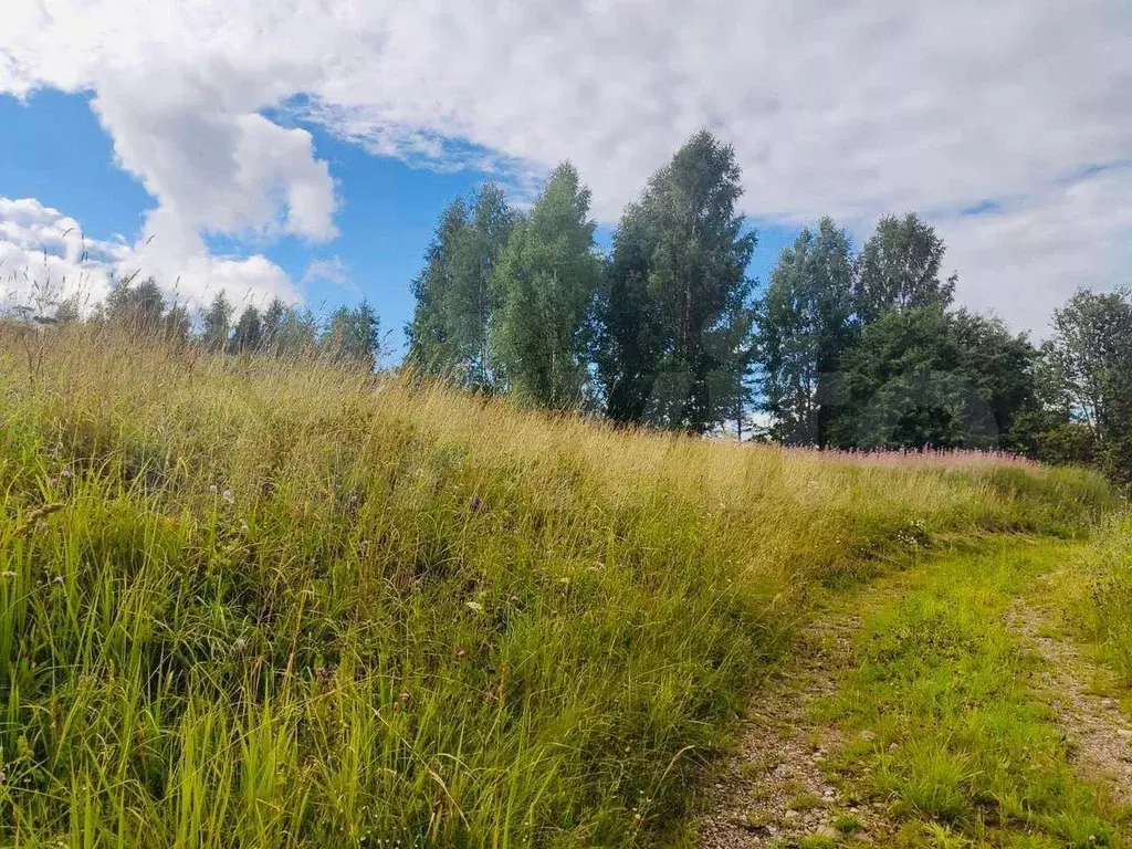 Купить Земельный Участок В Луговом Ульяновск