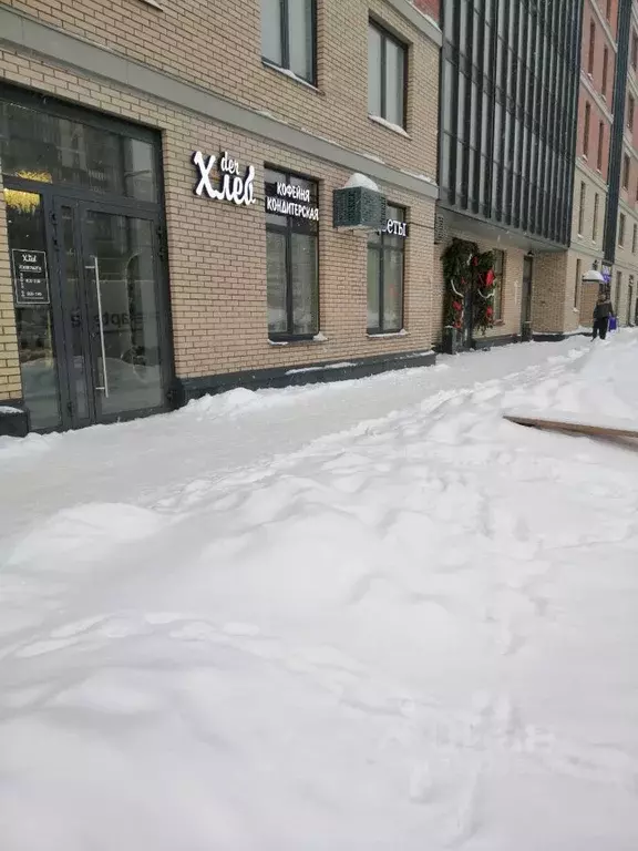 Помещение свободного назначения в Архангельская область, Архангельск ... - Фото 2