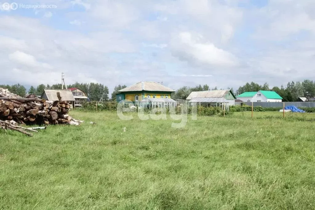 Участок в Тюменская область, Тобольский муниципальный округ, деревня ... - Фото 2