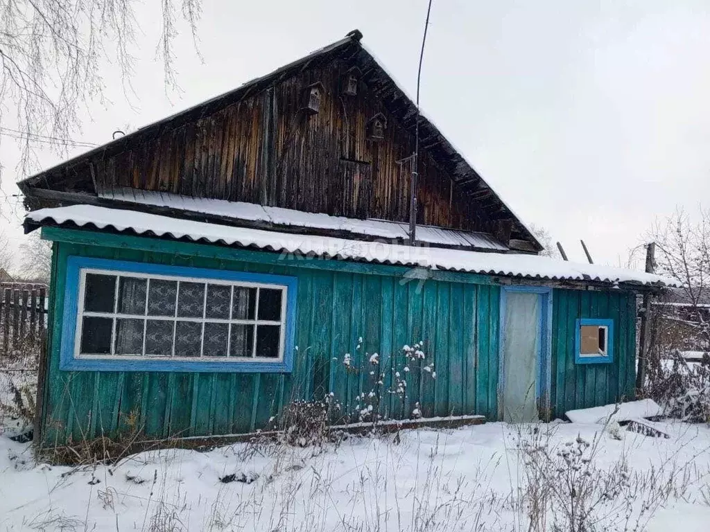 Дом в Новосибирская область, Новосибирский район, Каменский сельсовет, ... - Фото 1