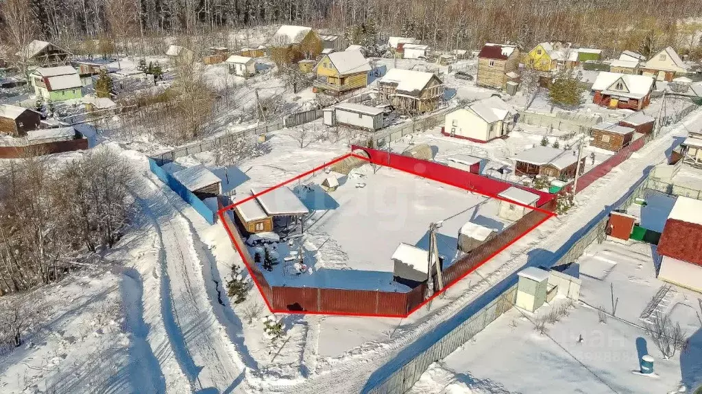 Участок в Ленинградская область, Всеволожский район, Лесколовское ... - Фото 0