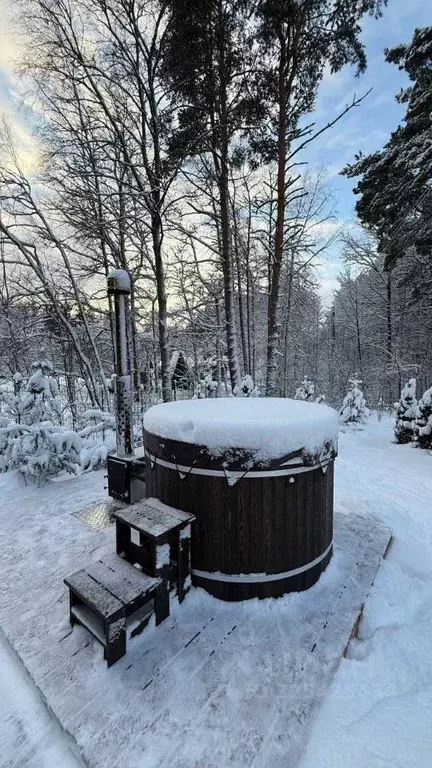 Дом в Ленинградская область, Приозерский район, Раздольевское с/пос, ... - Фото 2