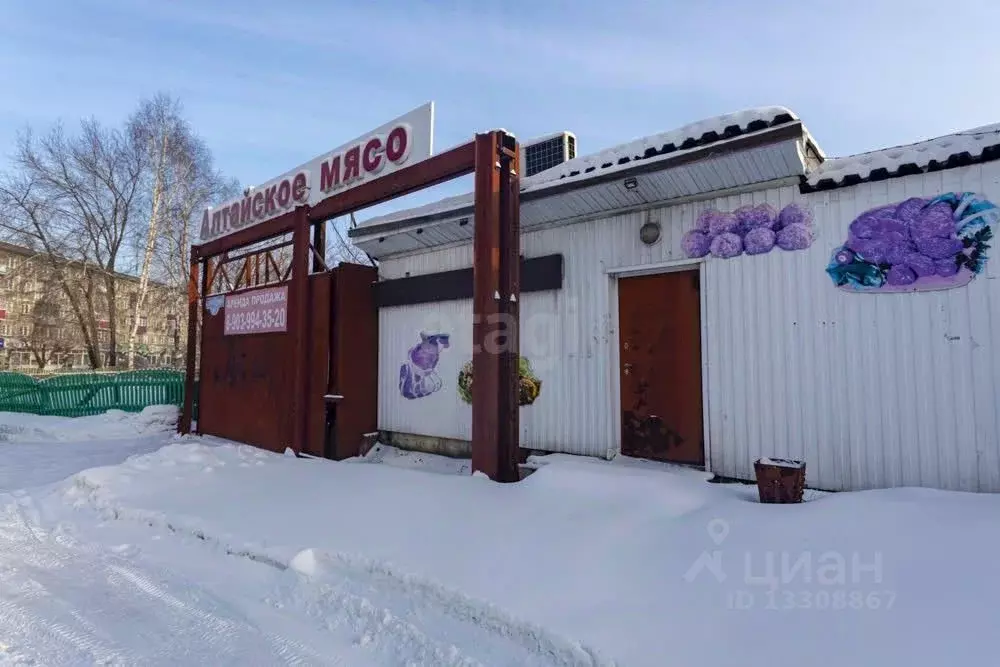 Помещение свободного назначения в Кемеровская область, Новокузнецк ул. ... - Фото 0