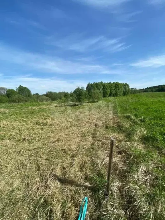 Участок в Ярославская область, Тутаевский муниципальный округ, ... - Фото 1