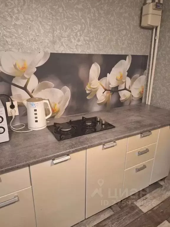 3-к кв. Вологодская область, Кириллов Симоновская ул., 38 (70.0 м) - Фото 1