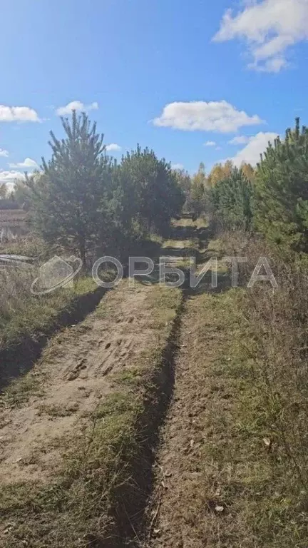 Участок в Свердловская область, Тугулымский муниципальный округ, пос. ... - Фото 2