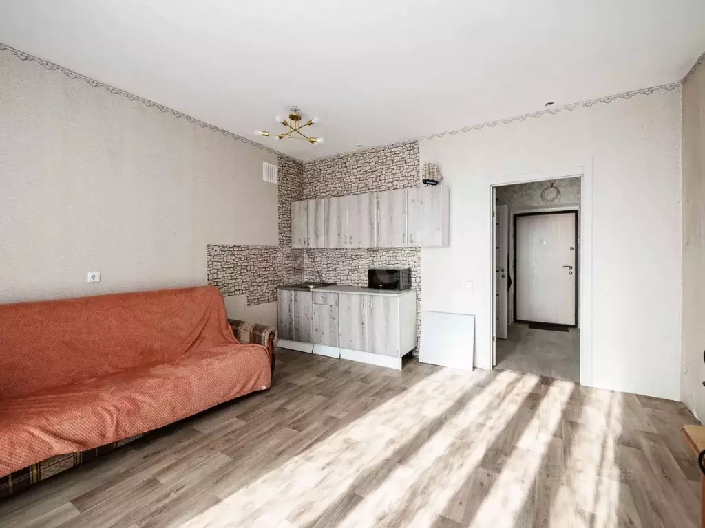Студия Новосибирская область, Новосибирск Красный просп., 309 (28.0 м) - Фото 1