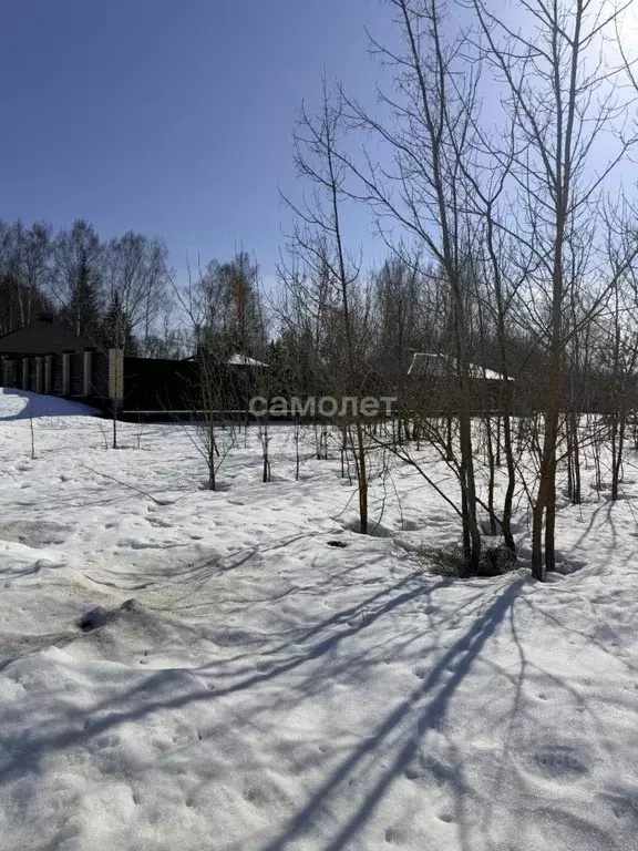 Участок в Марий Эл, Медведевский район, Сенькинское с/пос, д. Сенькино ... - Фото 2