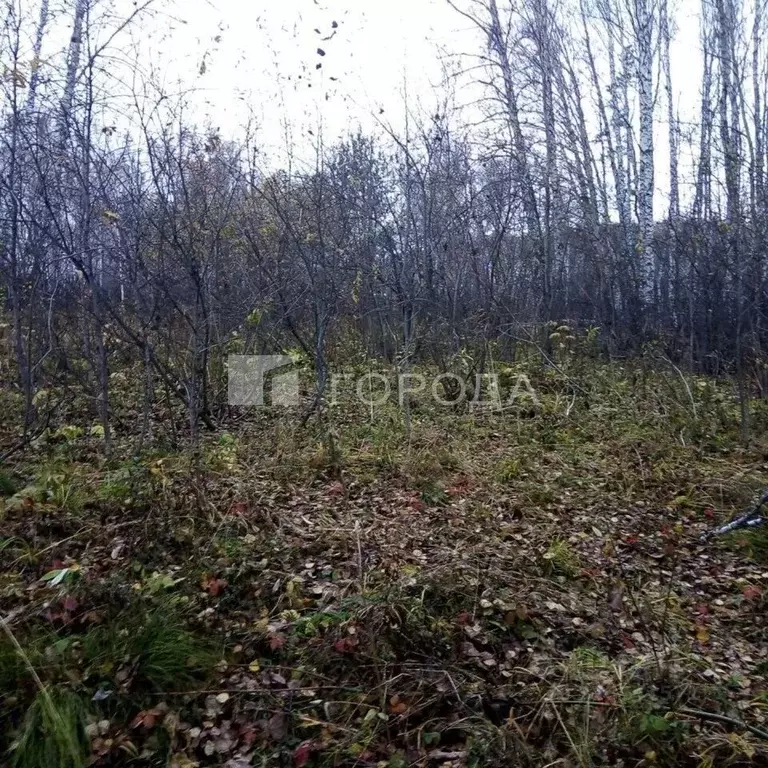 Участок в Новосибирская область, Новосибирск Ветеран СНТ, ул. 5-я ... - Фото 2