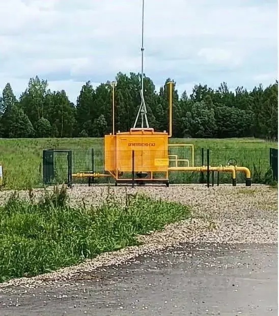 Участок в Ярославская область, Борисоглебский муниципальный округ, д. ... - Фото 2