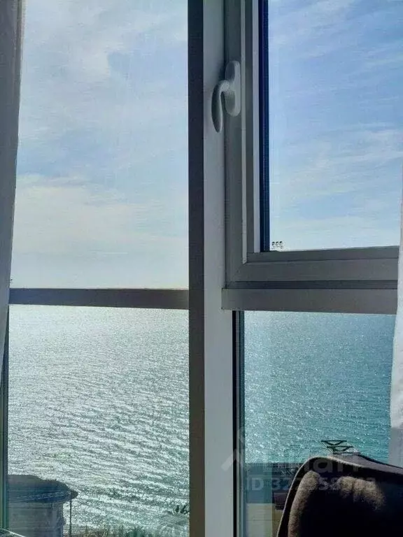 3-к кв. Краснодарский край, Сочи Курортный просп., 92/5 (105.0 м) - Фото 2