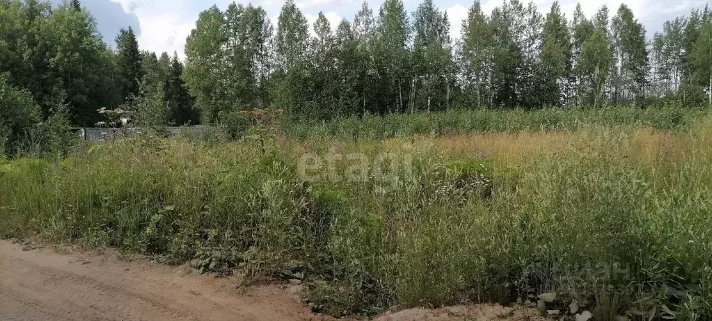 Участок в Коми, Сыктывдинский район, Выльгорт муниципальное ... - Фото 1