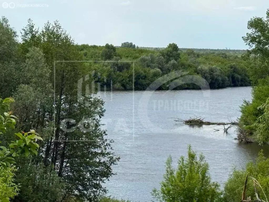 Участок в село Борщёво, улица 8 Марта, 85 (6 м) - Фото 1
