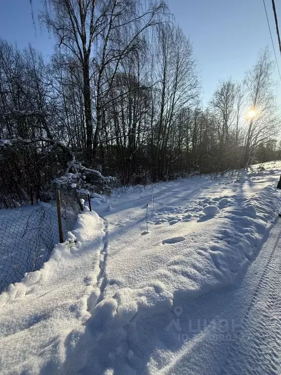 Участок в Ленинградская область, Выборгский район, Рощинское городское ... - Фото 2