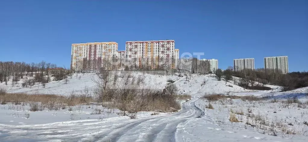 Участок в Курская область, Курский район, Нижнемедведицкий сельсовет, ... - Фото 2