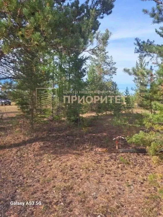 Участок в Саха (Якутия), Якутск городской округ, с. Тулагино ул. ... - Фото 2