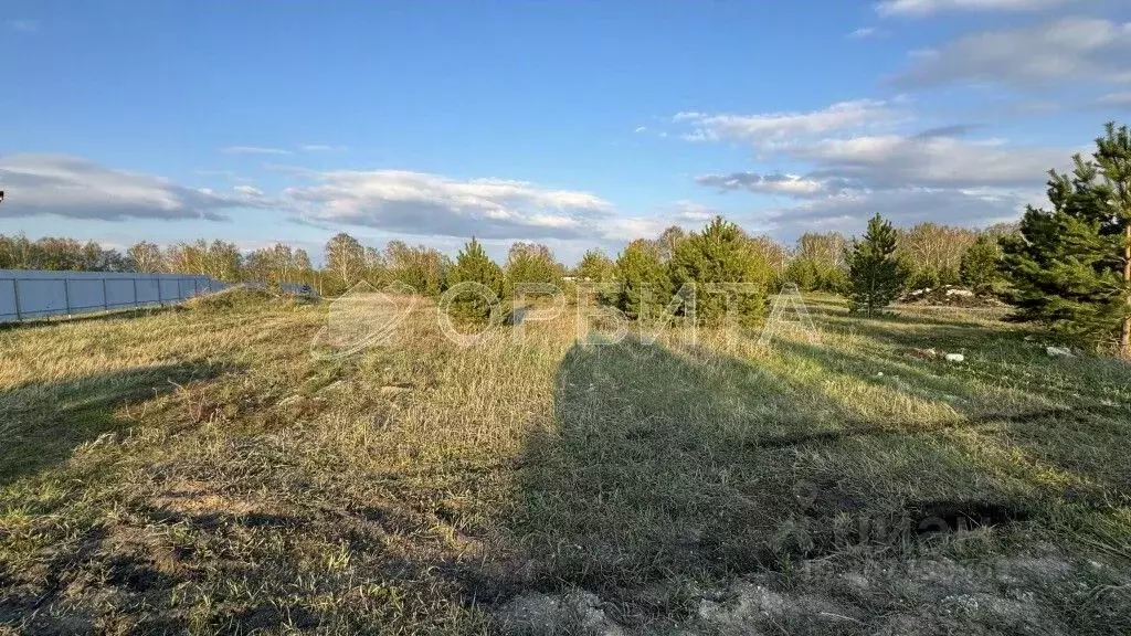 Участок в Тюменская область, Тюменский район, Новокаменский кп  (16.0 ... - Фото 1