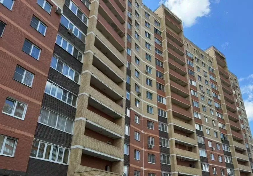 4-к кв. Московская область, Балашиха городской округ, д. Павлино 67 ... - Фото 1