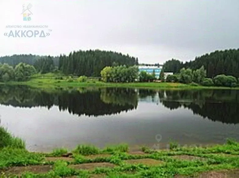 Участок в Алтайский край, Романовский район, пос. Майский Садовая ул. ... - Фото 1