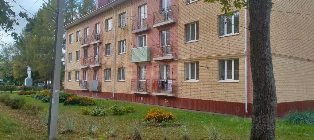 1-к кв. Ярославская область, Некрасовский муниципальный округ, Красный ... - Фото 2