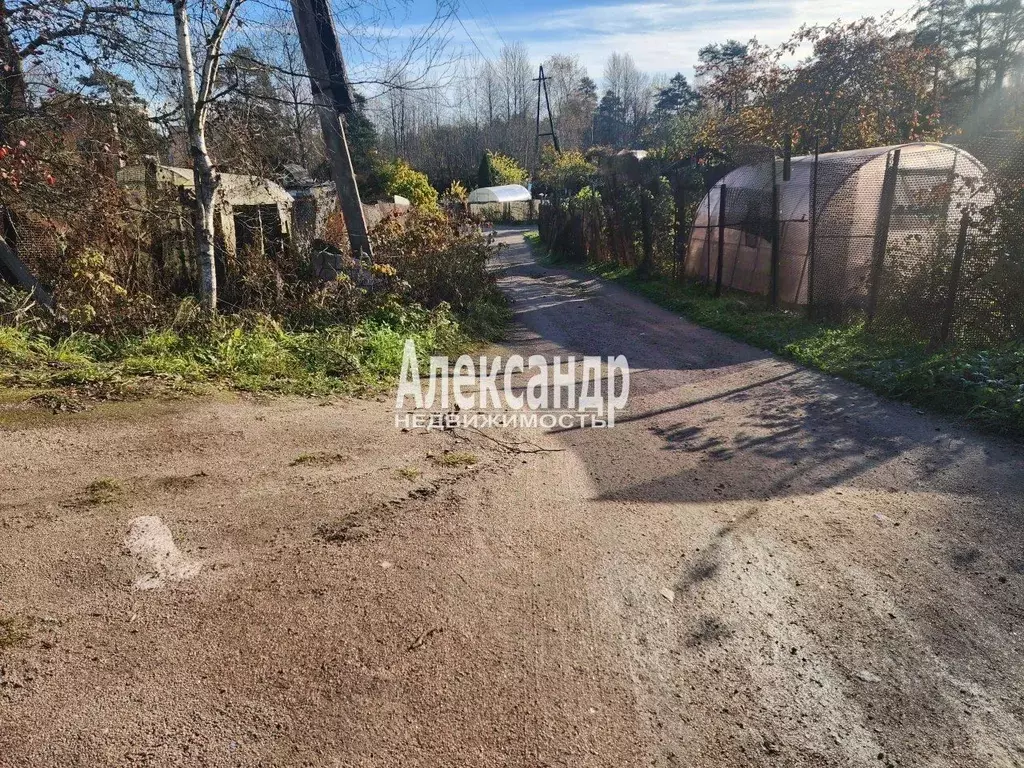 Участок в Ленинградская область, Приозерский район, Кузнечное пгт  ... - Фото 2