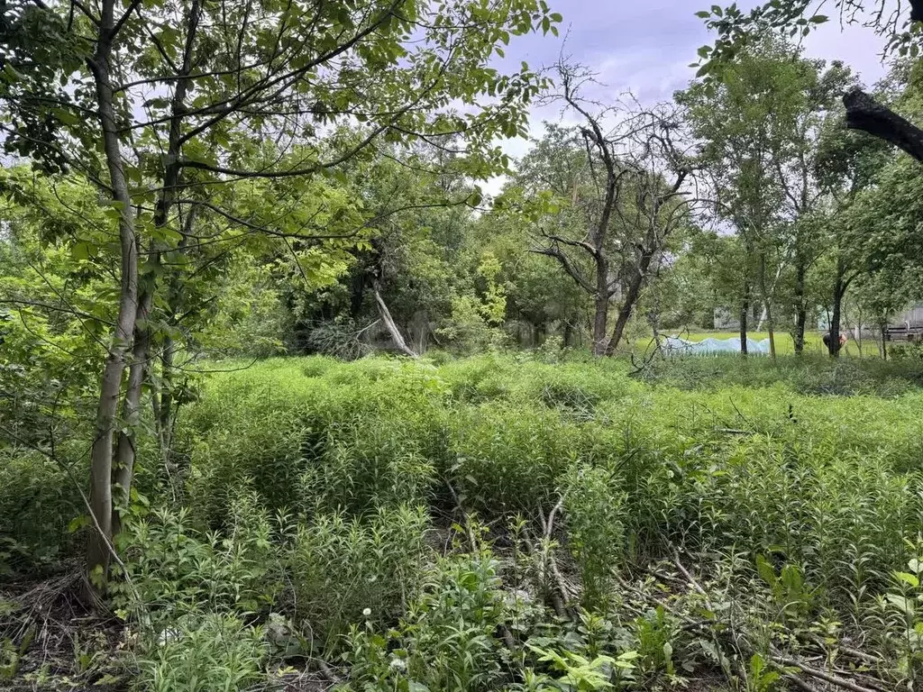 Участок в Брянская область, Брянск Юпитер садовое общество,  (3.86 ... - Фото 2