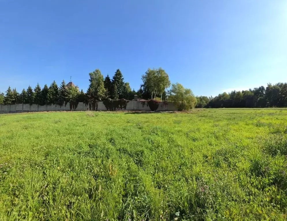 Участок в Московская область, Одинцовский городской округ, Литератор ... - Фото 1