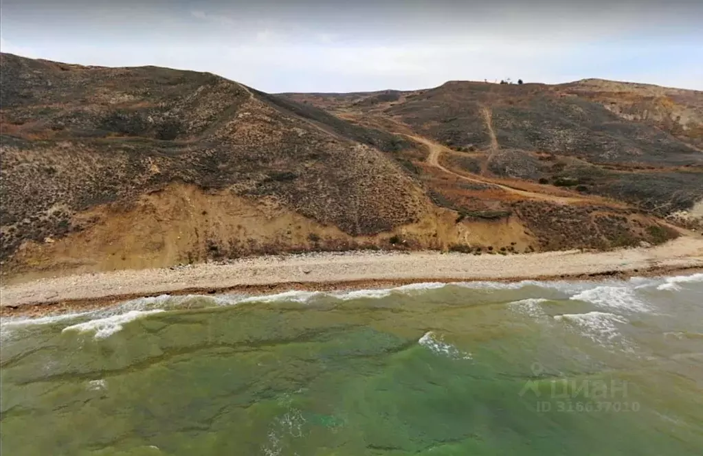 Участок в Краснодарский край, Темрюкский район, Новотаманское с/пос, ... - Фото 1