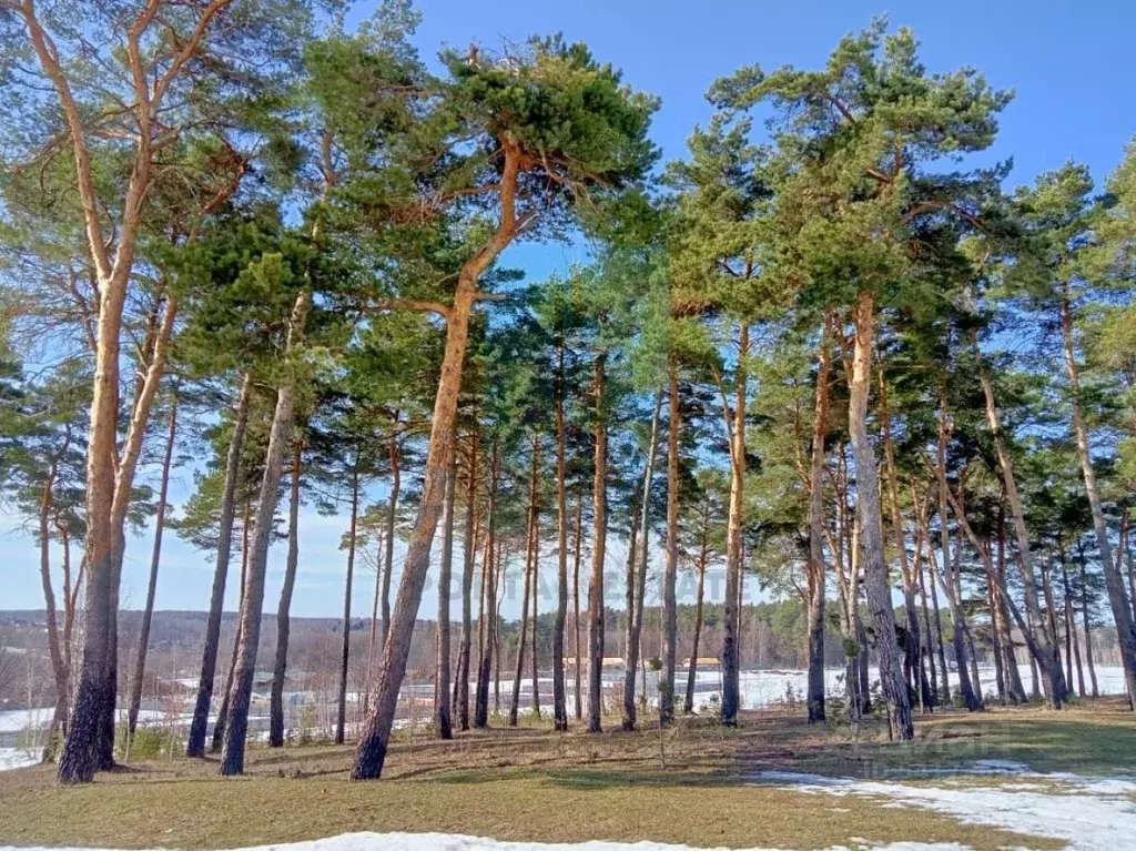 Участок в Московская область, Серпухов городской округ, д. Клейменово  ... - Фото 1