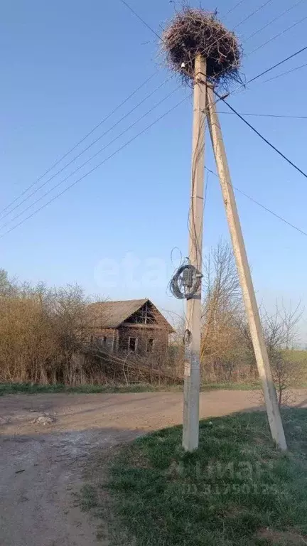 Участок в Смоленская область, Руднянский муниципальный округ, д. ... - Фото 0