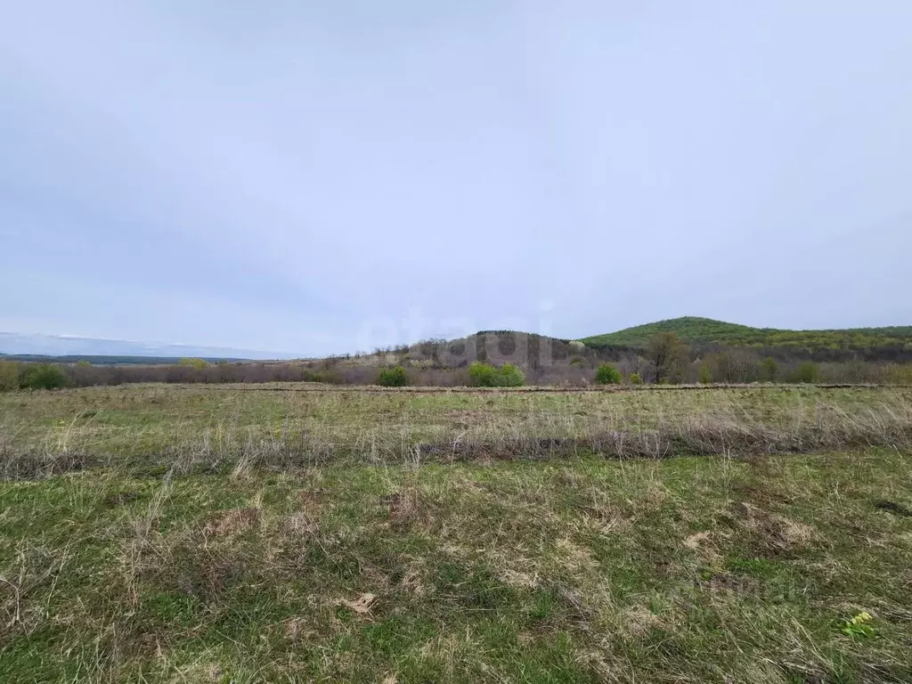 Участок в Башкортостан, Гафурийский район, с. Красноусольский ул. ... - Фото 1