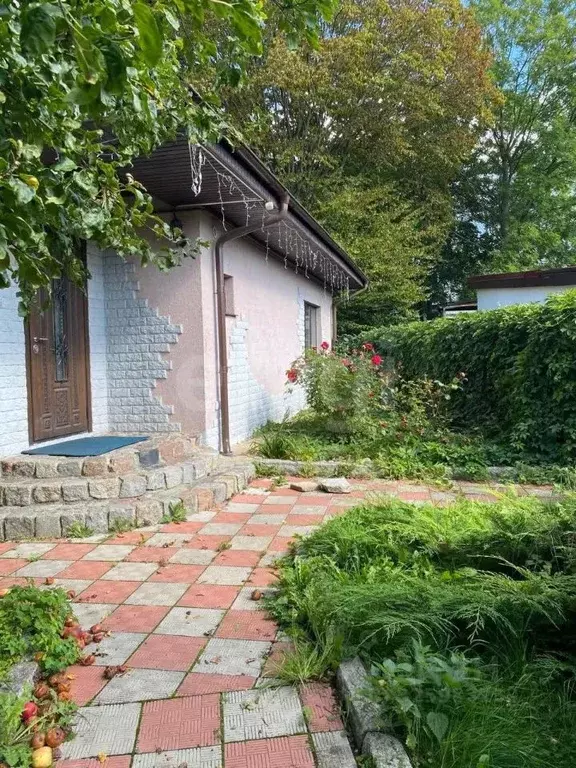 3-к кв. Калининградская область, Светлогорский городской округ, пос. ... - Фото 2