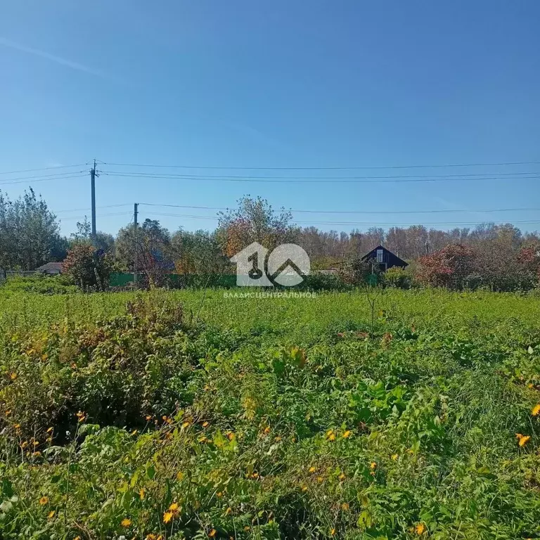 Дом в Новосибирская область, Колыванский район, Металлург СНТ ул. ... - Фото 1