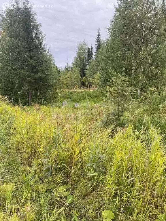 Участок в Ухта, посёлок УРМЗ (13.06 м) - Фото 2