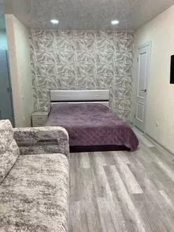 2-к кв. Псковская область, Псков Советская ул., 5 (45.0 м) - Фото 2