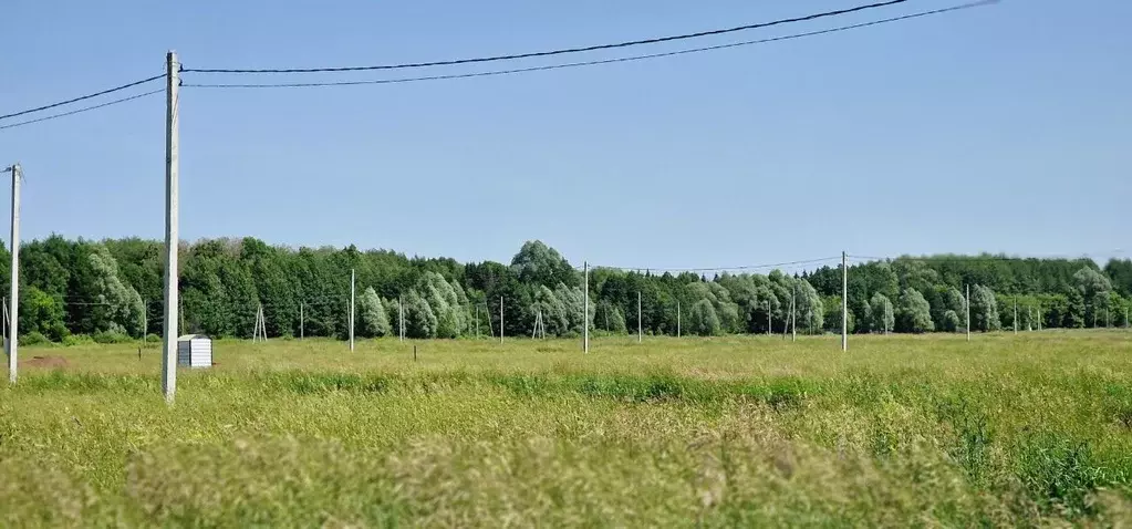 Участок в Татарстан, Лаишевский район, с. Кирби  (10.0 сот.) - Фото 2