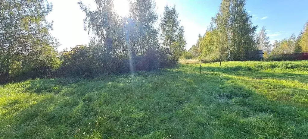 Участок в Московская область, Дубна  (10.7 сот.) - Фото 1