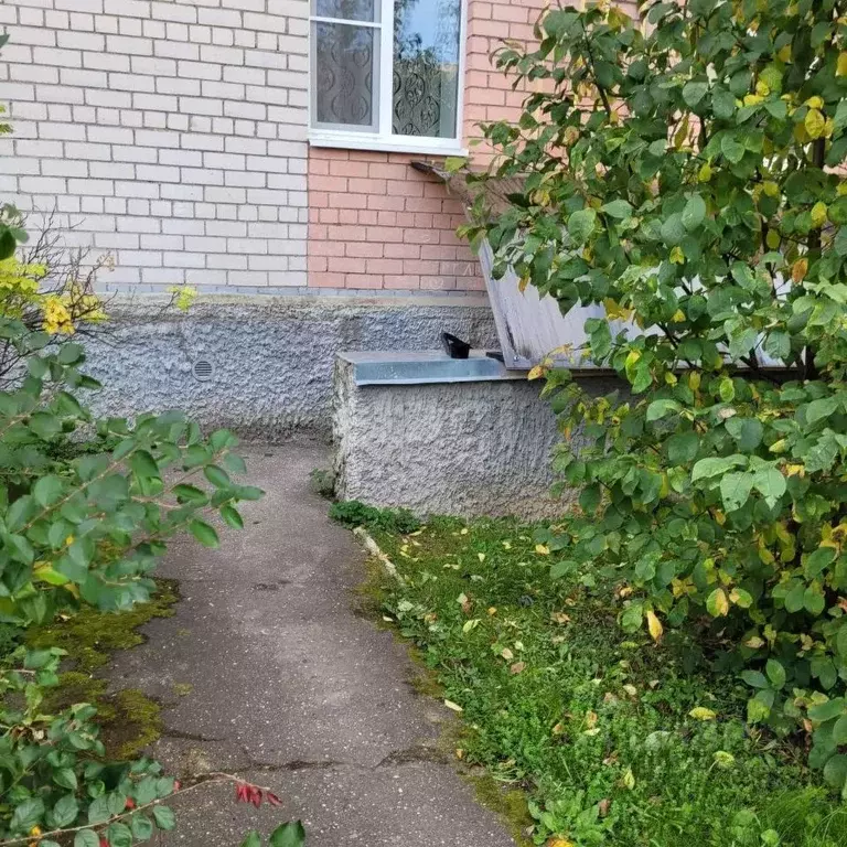 Помещение свободного назначения в Вологодская область, Вологда ... - Фото 1