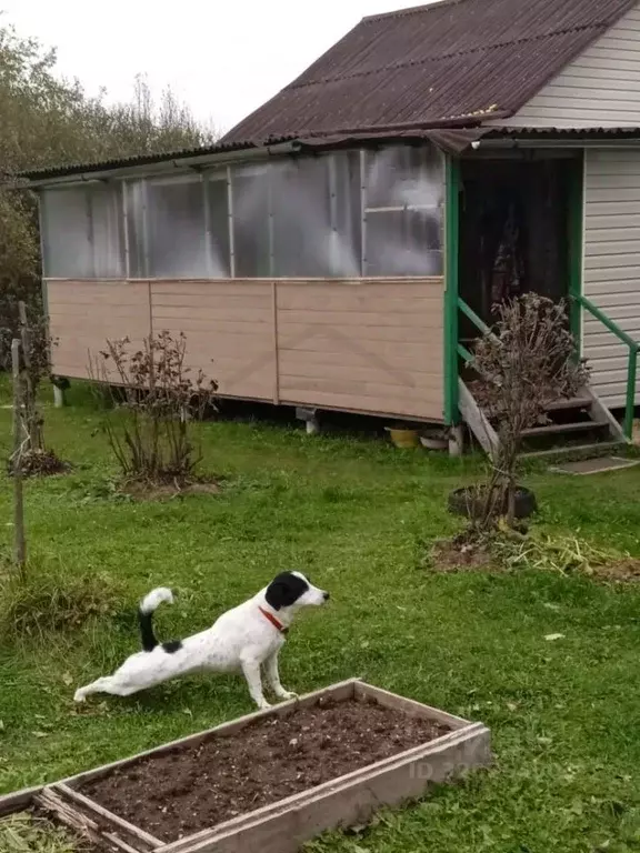 Дом в Калужская область, Мосальский район, Посконь с/пос, д. Бурмакино ... - Фото 2