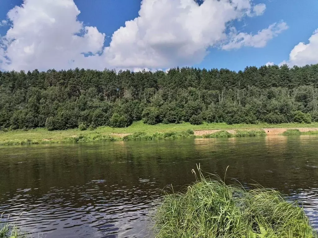 Участок в Тверская область, Калининский муниципальный округ, д. ... - Фото 2