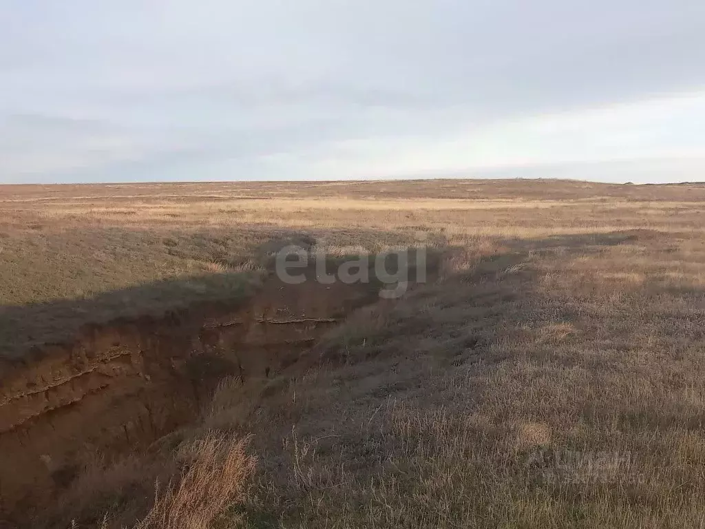 Участок в Крым, Ленинский район, Семисотское с/пос, с. Каменское ул. ... - Фото 2