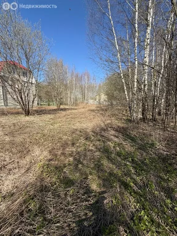 Участок в Московская область, муниципальный округ Чехов, посёлок ... - Фото 1