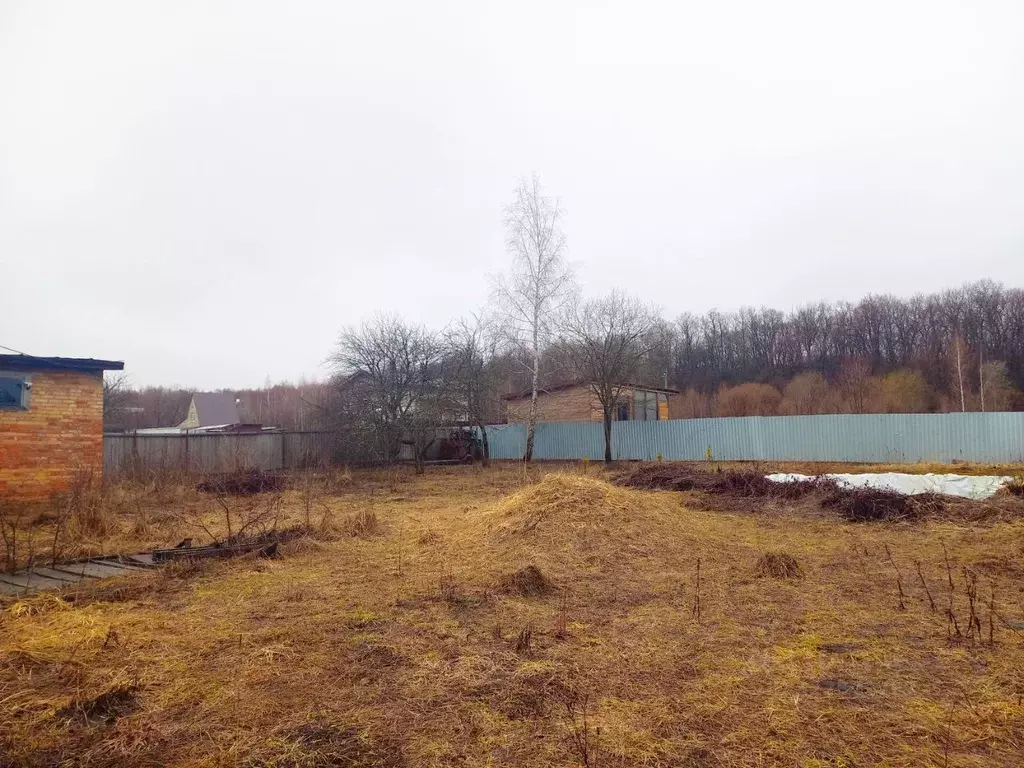 Дом в Пензенская область, Пензенский район, Засечный сельсовет, Русь ... - Фото 2