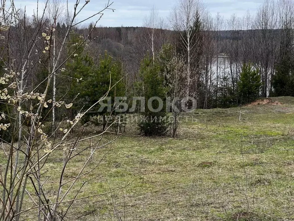Участок в Пермский край, Березники муниципальное образование Город, д. ... - Фото 1