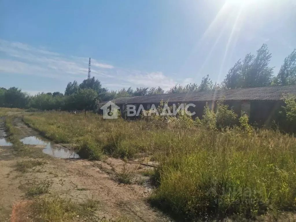 Помещение свободного назначения в Рязанская область, Пронск рп  (1151 ... - Фото 1