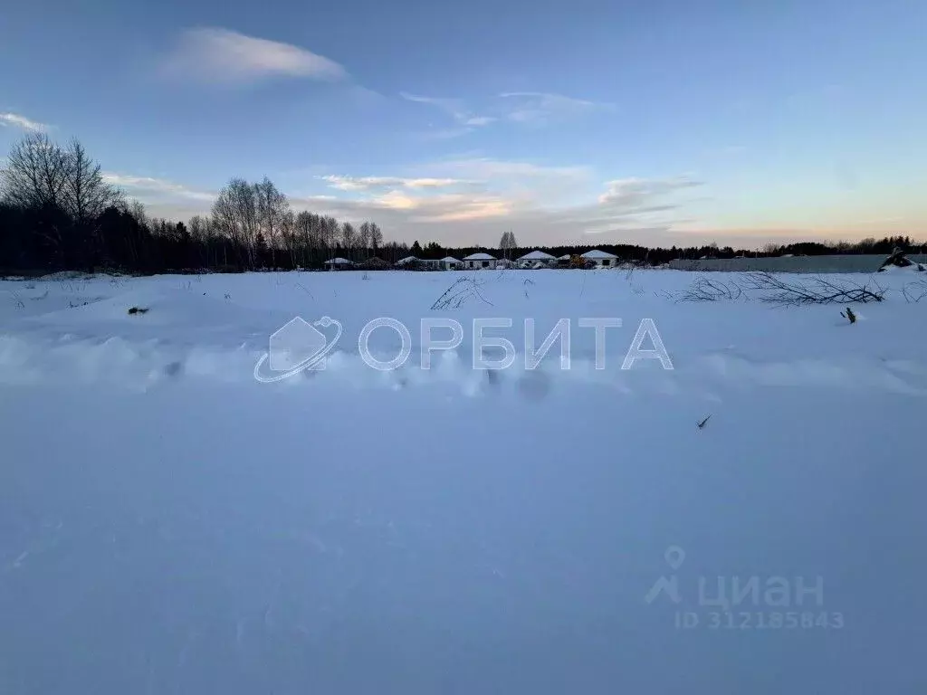 Участок в Тюменская область, Нижнетавдинский район, с. Тюнево  (12.87 ... - Фото 1