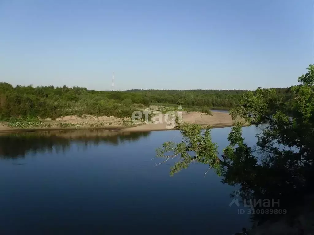 Участок в Мордовия, Кочкуровский район, с. Сабаево  (1060.0 сот.) - Фото 0