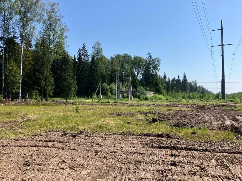 Участок в Ленинградская область, Ломоносовский район, Лопухинское ... - Фото 1